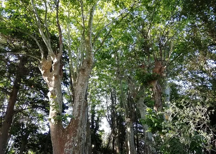 Feriehus Domaine De La Vidalle Vendres