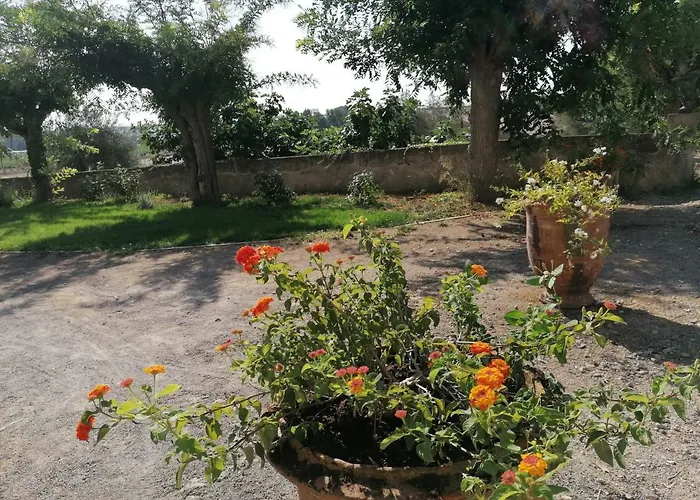 Domaine De La Vidalle