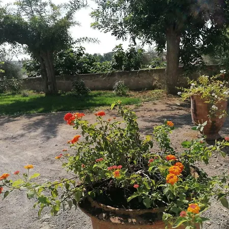 Domaine De La Vidalle